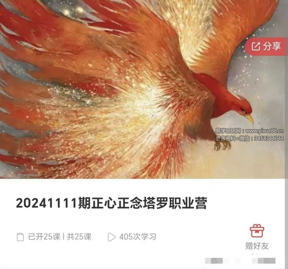 正心正念塔罗职业营 25集
